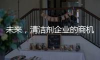 未来，清洁剂企业的商机在实体店
