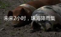 未来2小时�，珠海降雨集中在金湾区、合作区和万山区