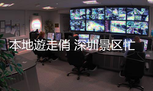 本地成为湾区民众热门选择