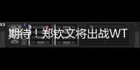 期待
！郑钦文将出战WTA500华盛顿站比赛