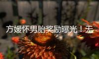 方媛怀男胎奖励曝光！无限额信用卡、亿元豪礼，父母保姆轮流伺候