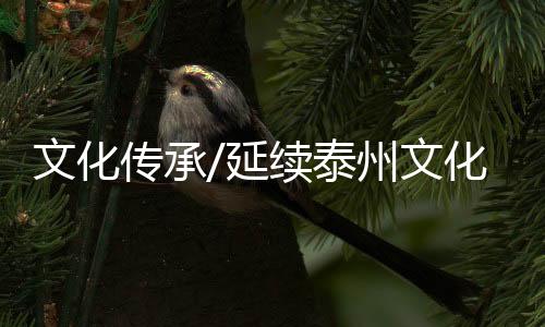 接地气的传承文字回忆历史