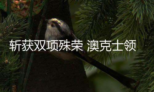 以服务消费者为奋进之力