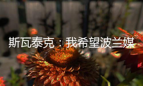 按照我自己方式完成工作