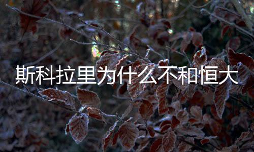 斯科有外国媒体消息称