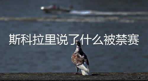 这样的斯科说什赛行为