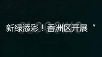 新绿添彩�！香洲区开展“我为全运种棵树”义务植树活动
