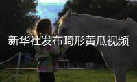 新华社发布畸形黄瓜视频爆火
，戳破了当下教育最大的真相