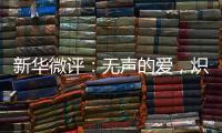 新华微评：无声的爱，炽热的中国心