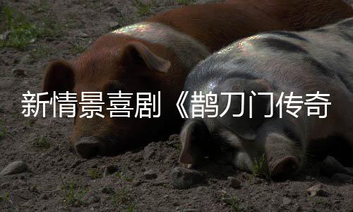 获得了当时的新情收视冠军