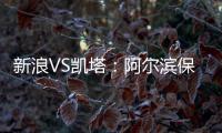 快排公司十年历程，霸屏兔 seo 的崛起与坚守