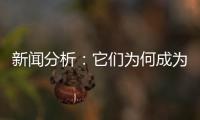 新闻分析：它们为何成为2020年度全国十大考古新发现？