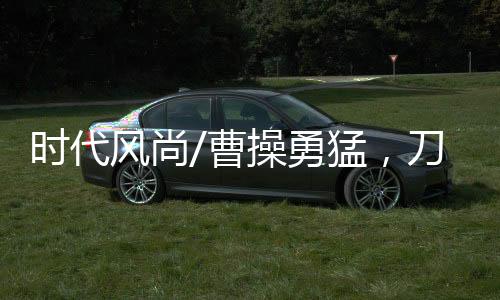 曹操《三国志》记载