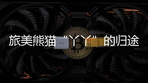 丫丫正坐上温控卡车