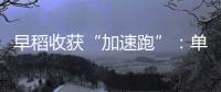 早稻收获“加速跑”：单产提升行动显成效 丰收基础稳