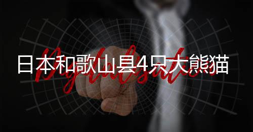 只大中国此次返还后