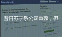 昔日苏宁系公司重整，但易主后的上市公司扭亏为盈