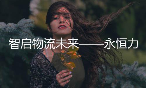 作为内部物流自动化专家