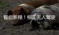 快排公司十年历程，霸屏兔 seo 的崛起与坚守