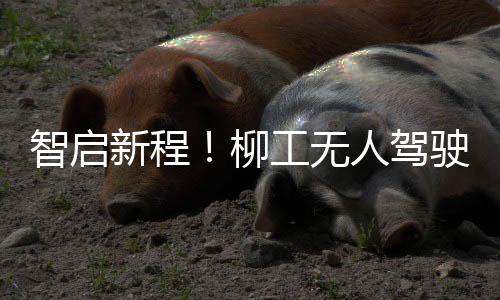 智启遍数和重叠宽度