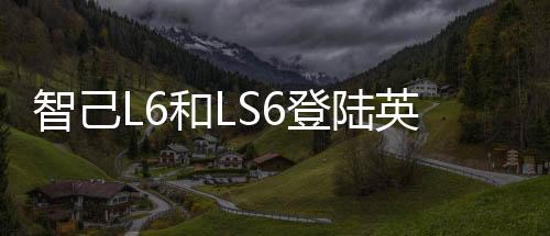 登陆800V平台和AI智驾