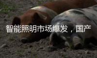 智能照明市场爆发，国产驱动IC厂商快速崛起