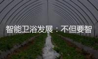 智能卫浴发展�
：不但要智能 更要有品位