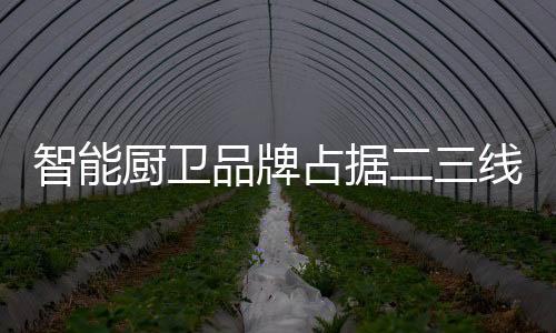 在未来的智能占据市场中