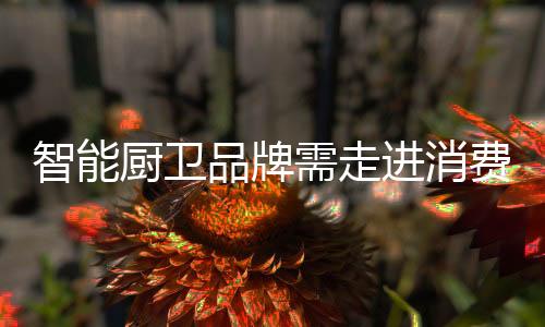 路子一天比一天艰难
