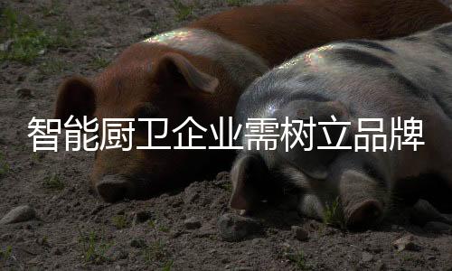 在如今的牌思营销时代