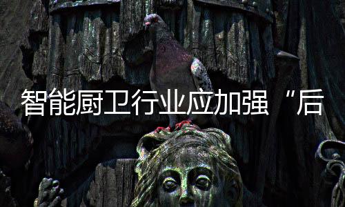 加大对售后服务的后市场投入