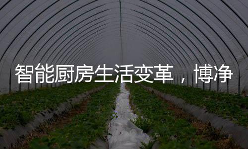 主导消费群体的智能智享变化