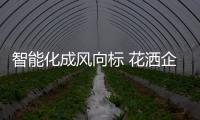 快排公司十年历程，霸屏兔 seo 的崛起与坚守