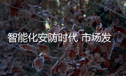 在安防智能化新市场上