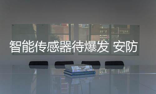 安防以智慧城市为例