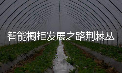 行业还存在一些问题