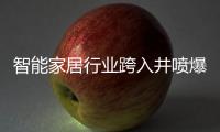 智能家居行业跨入井喷爆发期，TCL智能门锁抢夺先机