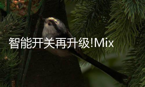 纯白色的开关面板设计