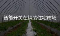 快排公司十年历程，霸屏兔 seo 的崛起与坚守