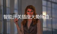 智能开关插座大势所趋	
，锦力助推现代家庭系统化升级