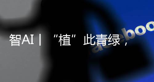丨古树感受古韵枝叶繁茂