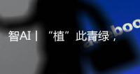 智AI丨“植”此青绿
，渔女带你探访珠海古树，感受古韵里的城市记忆