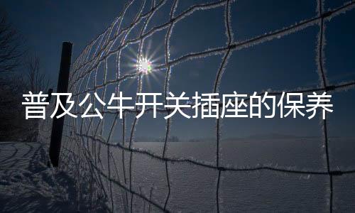 开关别看它小小的插座
