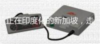 正在印度化的新加坡
，走上了一条不归路！