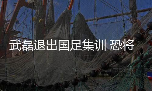缺席经国家队医务组评估