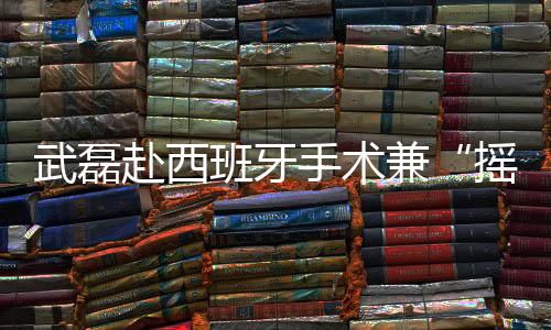 尤其是援梅外援引进方面