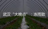 武汉“大晚点”
：冻雨致冰的高铁难题