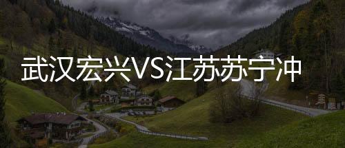 苏宁事件裁判员报告