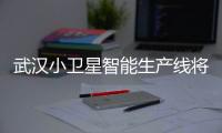 武汉小卫星智能生产线将投产