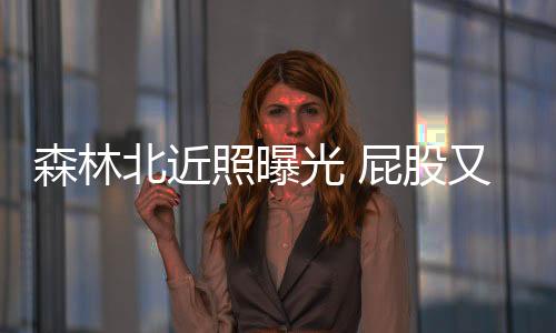 森林仅供参考五官清冷